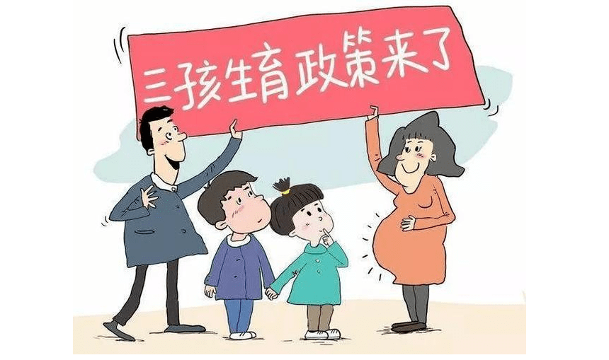 生育支持政策来袭，学习与自信引领未来之路的变革之光