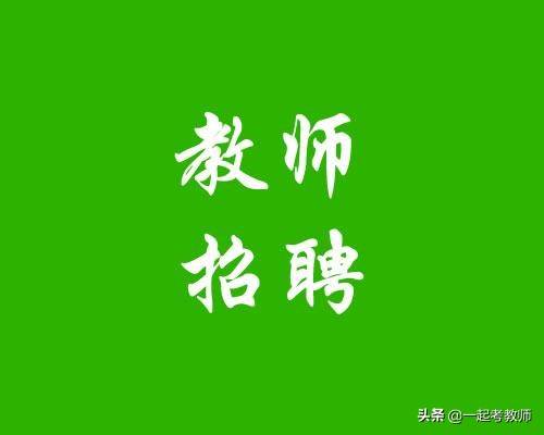 宁海最新招聘揭秘，小巷深处的隐藏宝藏求职之旅与独特小店的奇妙邂逅