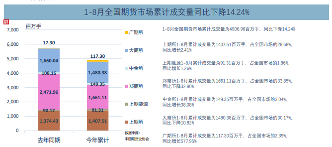 关于11月3日8最新版本的全面解读与个人观点分享