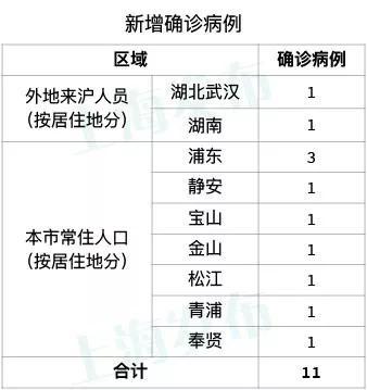 11月4日新型病毒最新确诊情况分析，某某观点下的深度阐述