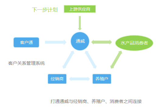 新澳精准资料免费提供网站,系列化解析落实方法_创新制61.181