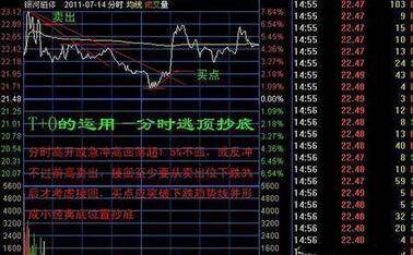 2024年11月10日 第63页