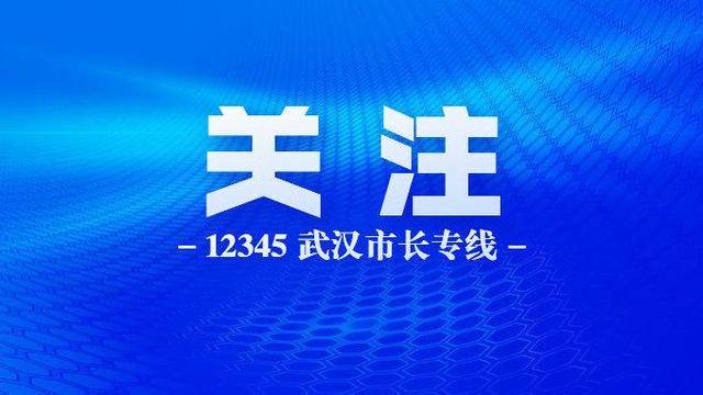 中国逆风翱翔，新冠疫情下的奋进与成长历程回顾