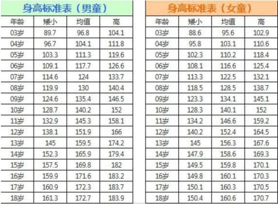 今年女性身高趋势，解锁成长新高度，洞悉女性成长力量