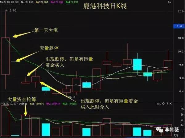 一码爆特马,灵活解答解释执行_EKV8.30.62神秘版