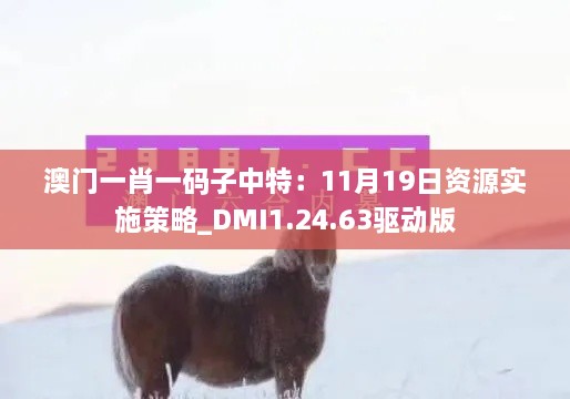 澳门一肖一码子中特：11月19日资源实施策略_DMI1.24.63驱动版