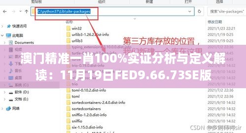 澳门精准一肖100%实证分析与定义解读：11月19日FED9.66.73SE版