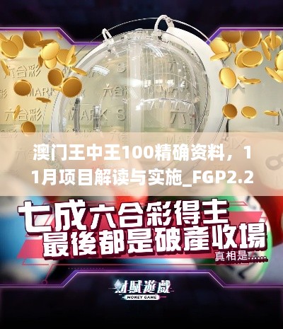 澳门王中王100精确资料，11月项目解读与实施_FGP2.25.35电商版