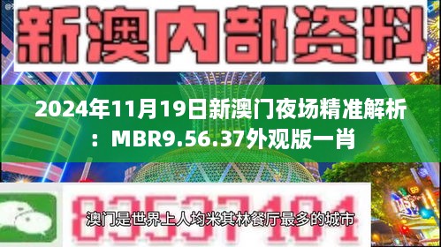 2024年11月19日新澳门夜场精准解析：MBR9.56.37外观版一肖