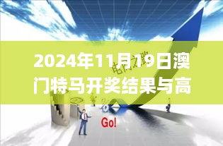 2024年11月19日 第66页