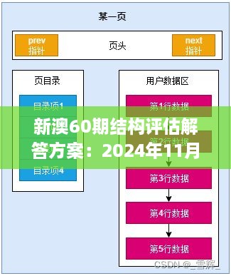 新澳60期结构评估解答方案：2024年11月19日的NGN1.48.46优先版最新资料