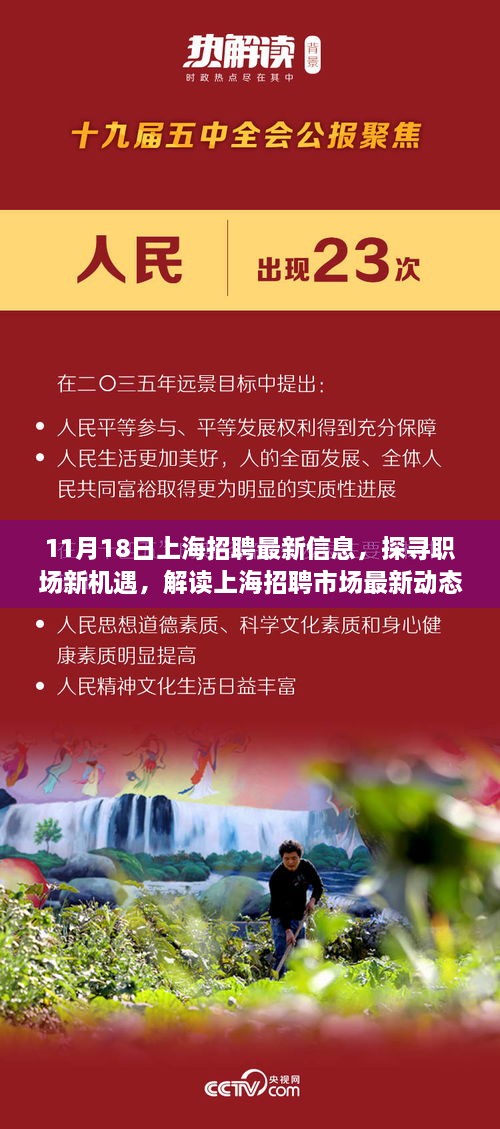 11月18日上海招聘市场最新动态，职场新机遇与多元观点解读