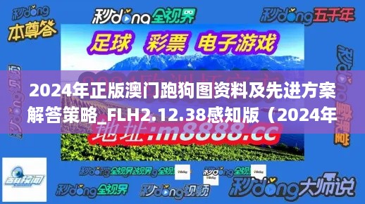 2024年正版澳门跑狗图资料及先进方案解答策略_FLH2.12.38感知版（2024年11月19日更新）