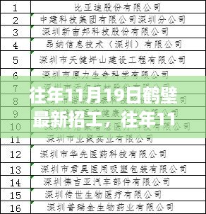 往年11月19日鹤壁最新招工信息深度解析，特点、体验与用户群体探究