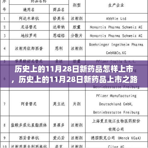 历史上的11月28日新药品上市之路，全面评测与深度解析