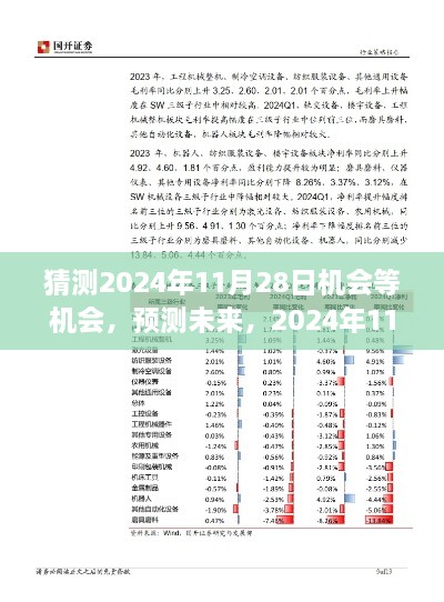 2024年11月28日机会均等，预测与全面评测