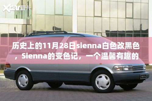 Sienna的变色记，白色改黑色的温馨日常故事