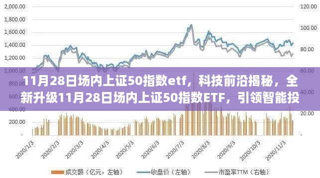 2024年11月29日 第23页