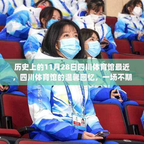 四川体育馆的温馨回忆，一场不期而遇的友情故事在11月28日绽放光彩