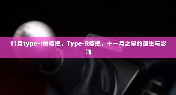 十一月之星，Type-R档把的诞生与影响