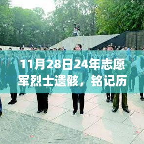 关于志愿军烈士遗骸的纪念与致敬，历史回顾与深入评测介绍