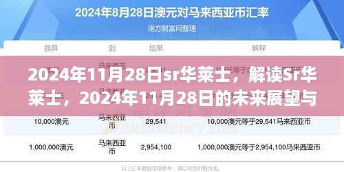 解读Sr华莱士，未来展望与观点阐述（2024年11月28日）