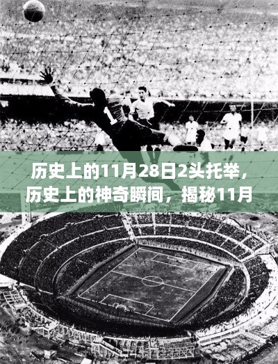 揭秘历史双头托举传奇，揭秘神奇瞬间的日期背后的故事（11月28日）