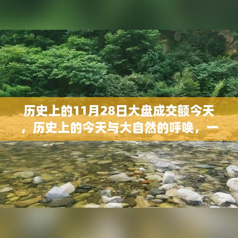 历史上的今天，启程心灵之旅，大自然呼唤下的股市交易额回顾