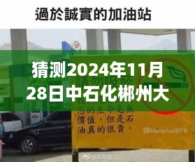 揭秘中石化郴州大道加油站，预测加油攻略与详尽步骤指南（初学者与进阶用户必备）