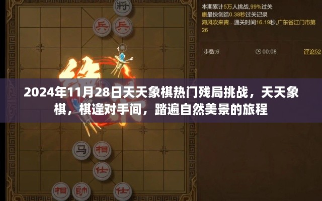 天天象棋热门残局挑战，棋逢对手的自然美景之旅