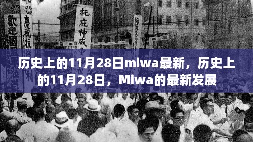 Miwa的最新动态与历史上的11月28日发展回顾