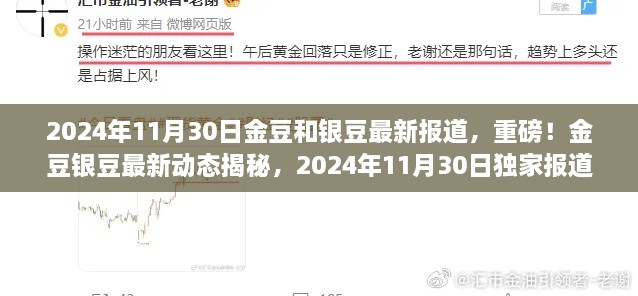 独家揭秘，金豆银豆最新动态报道，2024年11月30日更新