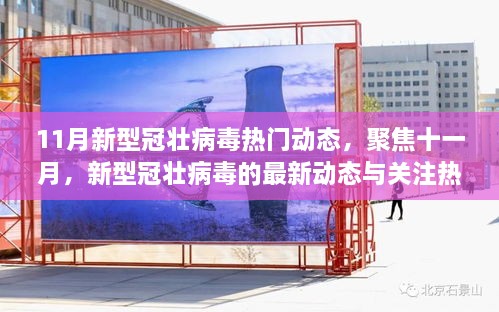 聚焦十一月，新型冠壮病毒最新动态与关注热点速递