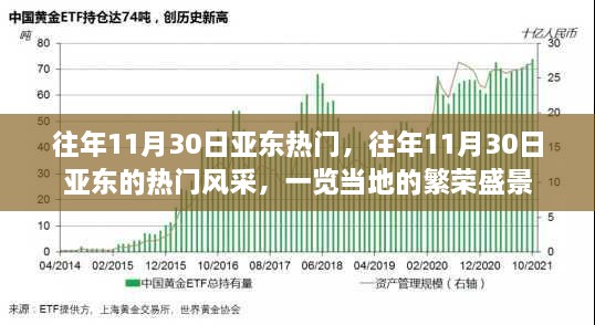 亚东风采，历年11月30日的繁荣盛景回顾