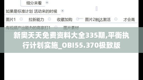 新奥天天免费资料大全335期,平衡执行计划实施_OBI55.370极致版