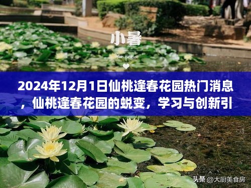 仙桃逢春花园蜕变之路，学习与创新引领自信的明天（热门消息）