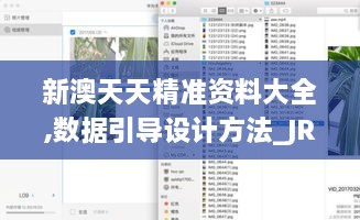 新澳天天精准资料大全,数据引导设计方法_JRY45.997轻奢版