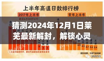 2024年莱芜解封预测，心灵之旅的新境界与探寻自然美景的宁静之道