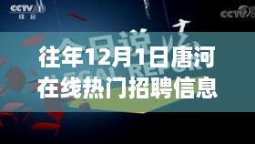 历年唐河在线招聘新纪元，科技引领，梦想起航——招聘平台功能解析与体验报告