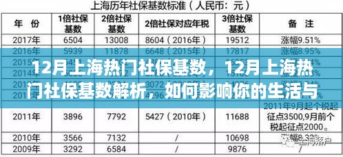 12月上海社保基数解析，如何影响生活与工作