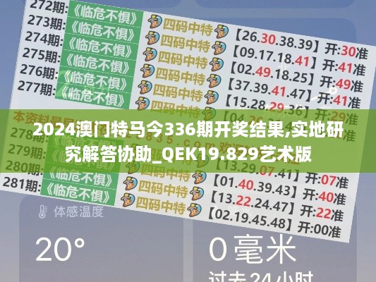 2024澳门特马今336期开奖结果,实地研究解答协助_QEK19.829艺术版