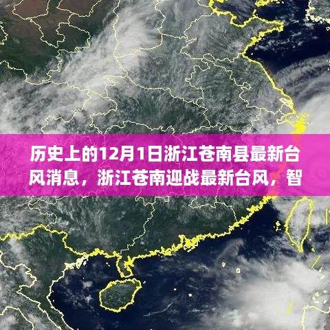 浙江苍南迎战最新台风，智能预警系统引领科技抗灾新纪元 12月1日最新消息速递