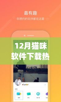 12月猫咪软件热门下载版本解析与下载指南