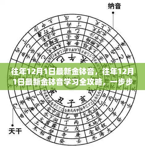 成为金钵高手的秘诀，往年12月1日最新金钵音学习全攻略