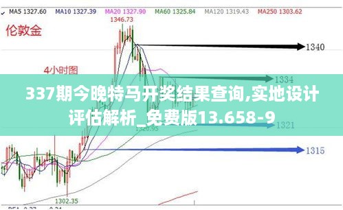 337期今晚特马开奖结果查询,实地设计评估解析_免费版13.658-9