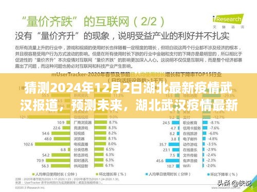 湖北武汉疫情预测分析，未来动态展望（猜测至2024年12月）