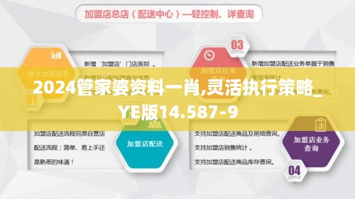 2024管家婆资料一肖,灵活执行策略_YE版14.587-9