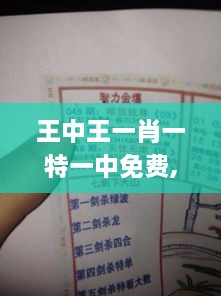 王中王一肖一特一中免费,实证解答解释定义_旗舰版64.516-4