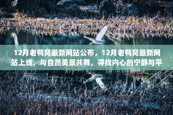 12月老鸭窝最新网站上线，与自然共舞，探寻内心宁静与平和的胜地