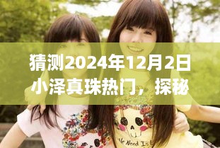 探秘2024年12月2日小泽真珠热门，小巷深处的隐藏宝藏与特色小店故事